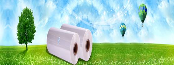 Màng Co POF Polyolefin Shrink Film